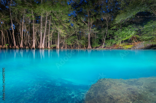 Manatee Springs Illuminated at Night, Levy County, Florida photo