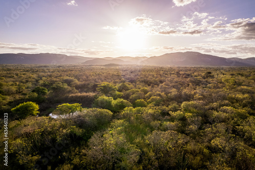 Fototapeta Por do sol na caatinga
