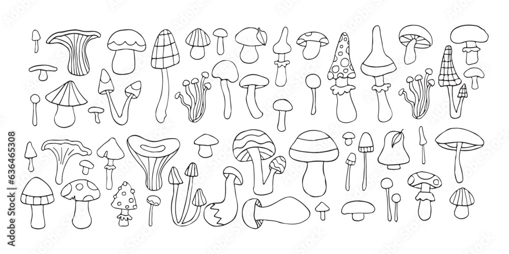 Vector mushroom doodle set, line art fantasy outline forest fungi collection, organic autumn sketch