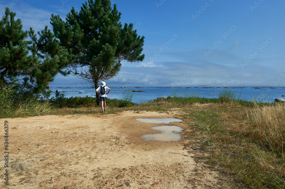 a hiker man under a pine tree on the mussel beach observes the sea with trays to cultivate mussels