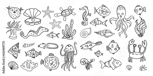 set of vector hand drawn ocean animals and fish, tropical sea outline doodle collection, underwater life aquarium for kids © AlexTroi