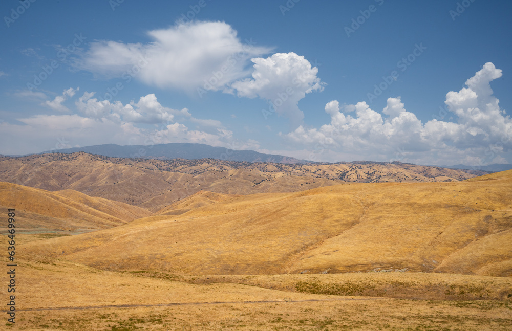 Fototapeta premium Beautiful Landscape of Tehachapi California
