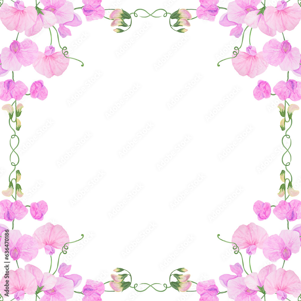 Watercolor botanical colourful frame of preety garden flowers - pink lathyrus. Corner ornament good for wedding print products, paper, invitations, greetings, fabric, posters Watercolor botanical colourful frame of preety garden flowers - pink lathyrus. Corner ornament good for wedding print products, paper, invitations, greetings, fabric, posters