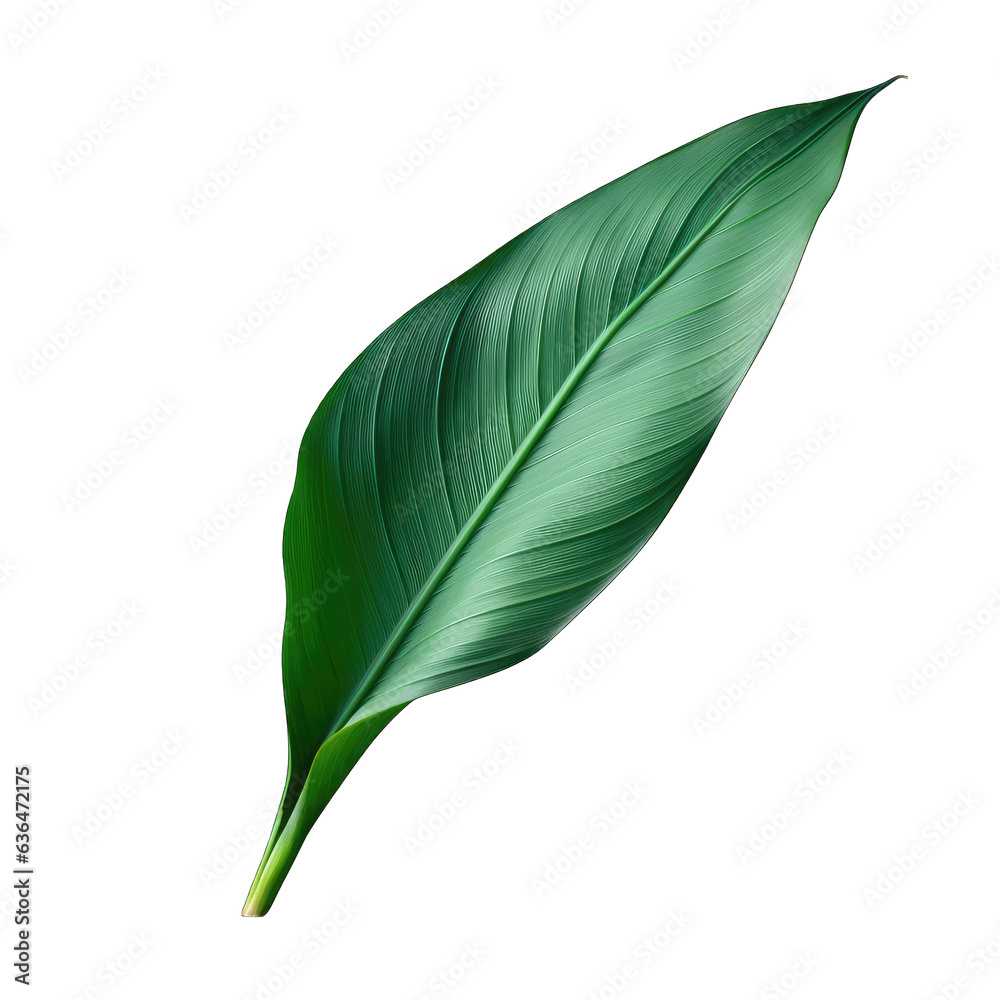 A vibrant green leaf against a serene blue backdrop A vibrant green leaf against a serene blue backdrop