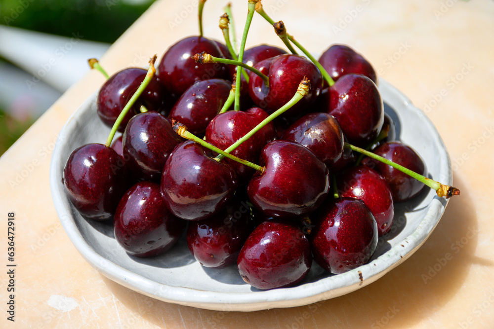 New harvest of fresh ripe dark red cherry berry in Provence, France close up New harvest of fresh ripe dark red cherry berry in Provence, France close up