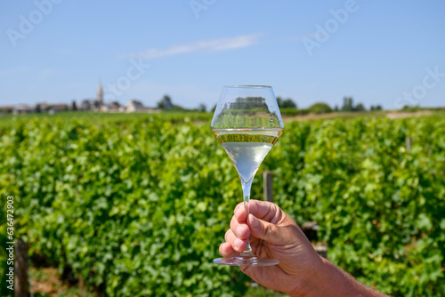 Glass of white wine from vineyards of Pouilly-Fume appelation, near Pouilly-sur-Loire, Burgundy, France photo