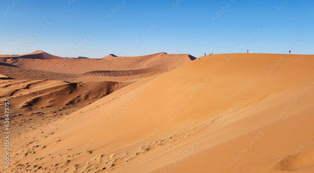 Dune 45 Landscape