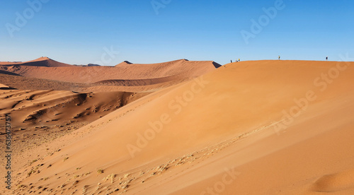 Dune 45 Landscape