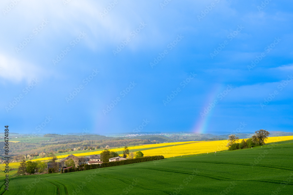 Obraz premium rainbow over the field