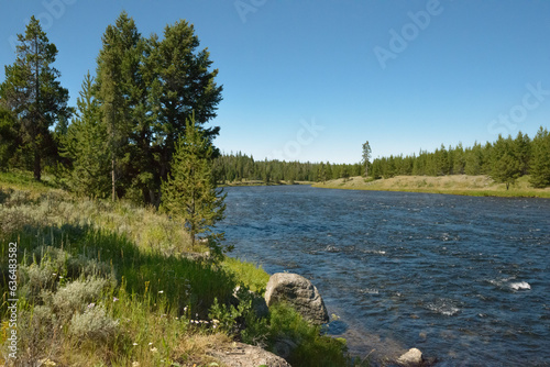 Madison River. Yellowstone National Park. July 2023.