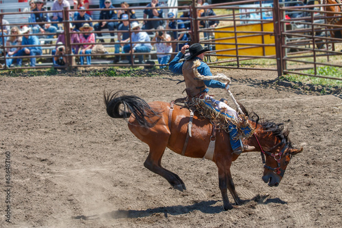 Obraz na plátně A rodeo cowboy is riding a bucking bronco