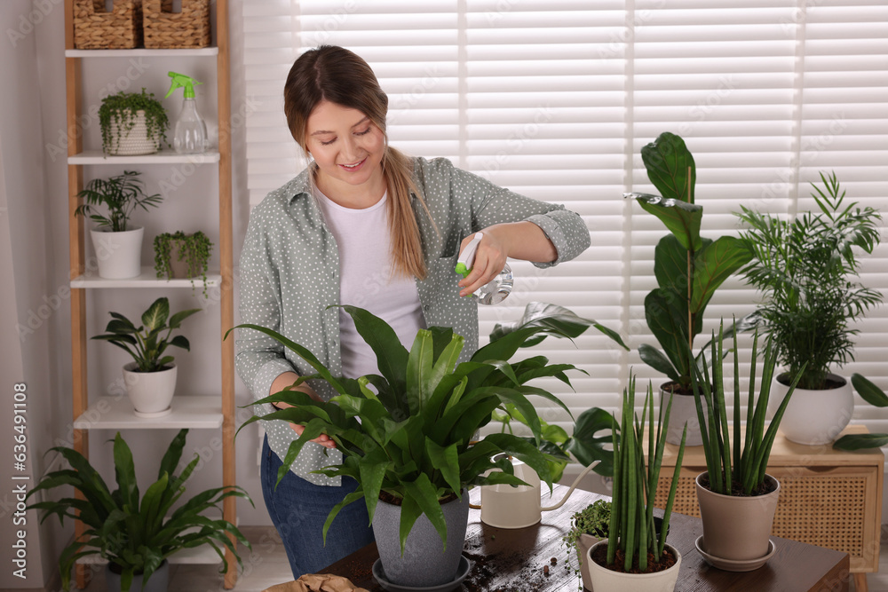 Woman spraying houseplants with water after transplanting at wooden table indoors Woman spraying houseplants with water after transplanting at wooden table indoors