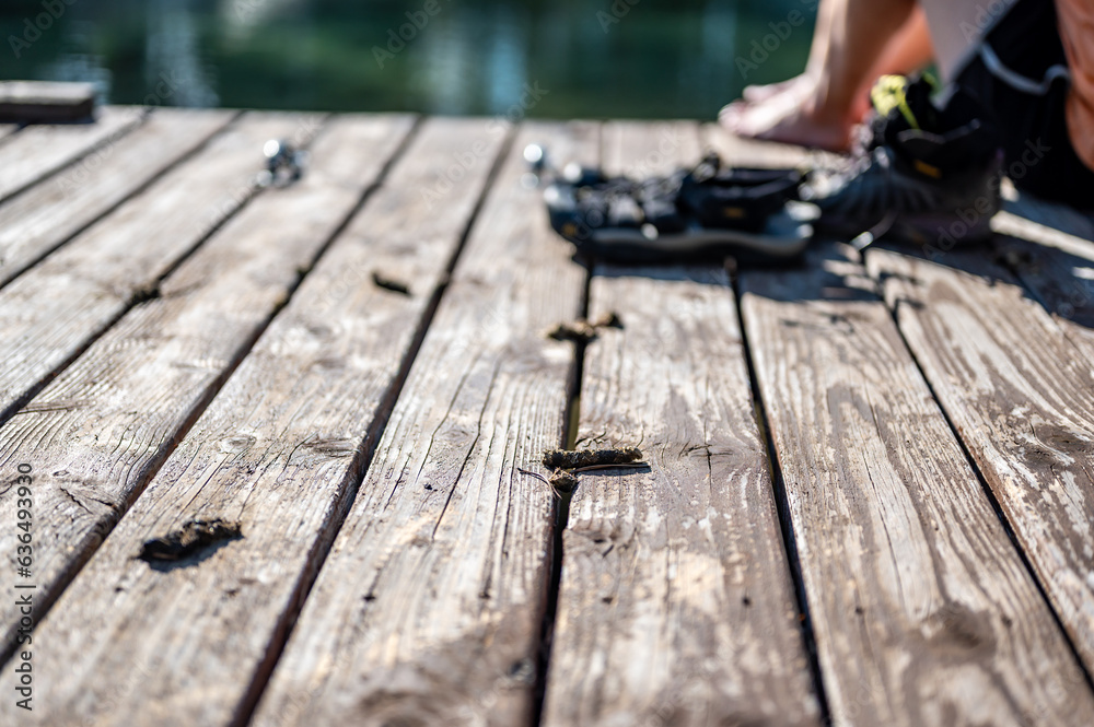 Scattered Goose poop on a wooden boat dock. Scattered Goose poop on a wooden boat dock.
