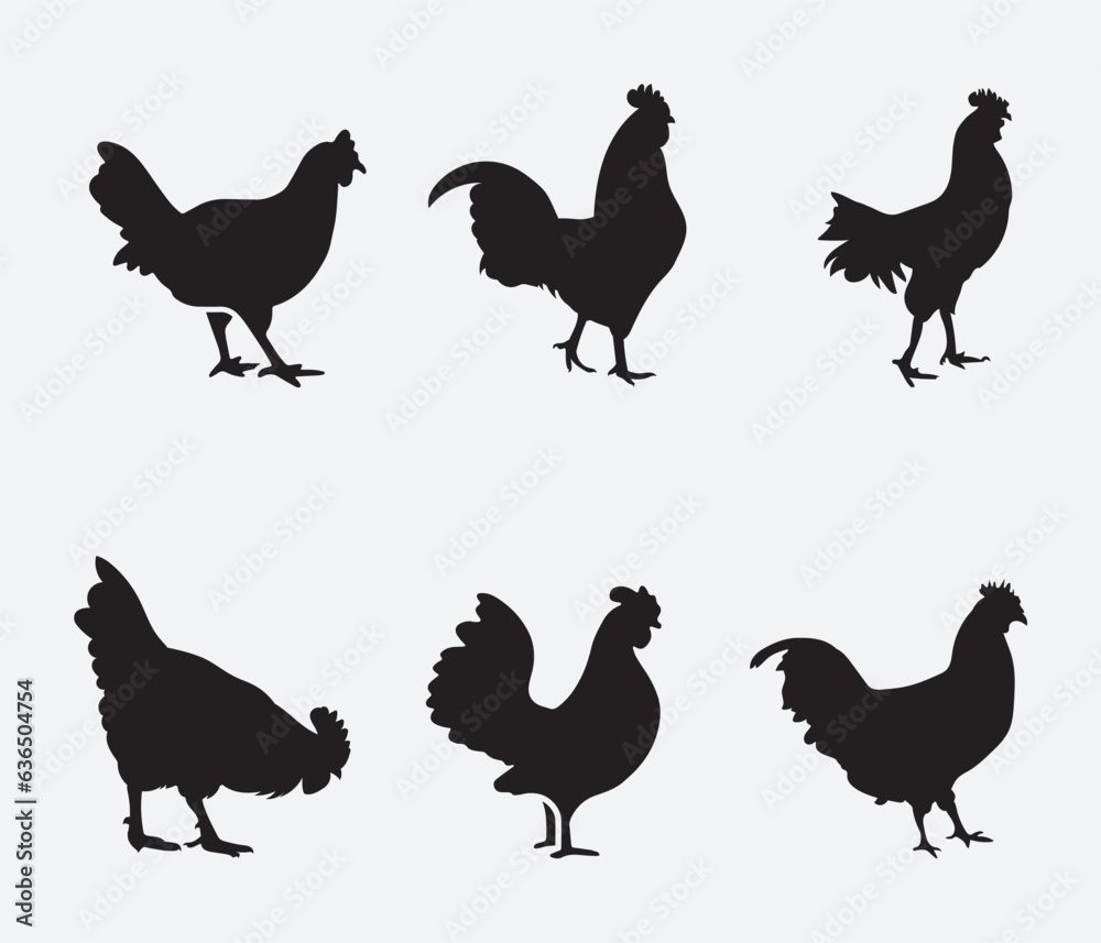 Fototapeta premium isolated black silhouette of a chicken , vector collection