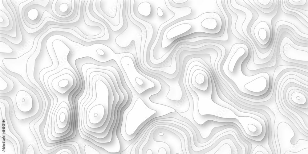 Abstract background lines Topographic map. Geographic mountain relief. Abstract lines background. Contour maps. Vector illustration, Topo contour map on white background, Topographic contounter lines.