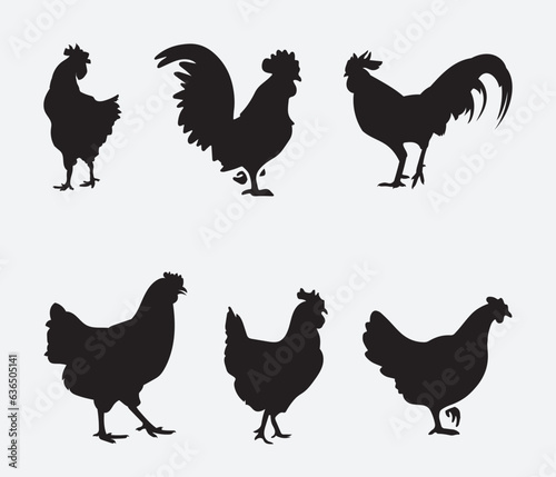 isolated black silhouette of a chicken , vector collection	