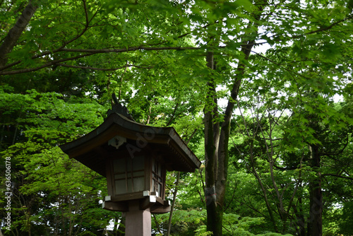 氷川神社の灯籠 © LEPANNEAU