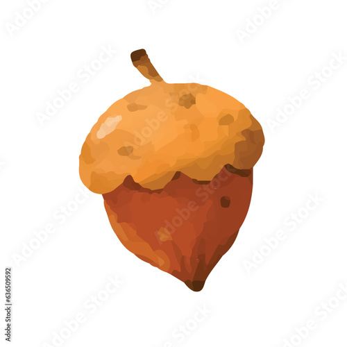 hand drawn cute autumn nut. watercolor illustration