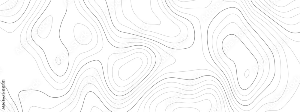 Abstract topographic wavy curve line background. Topography map pattern, Geographic curved relief. Topographic lines background. Vector illustration. Abstract topographic wavy curve line background. Topography map pattern, Geographic curved relief. Topographic lines background. Vector illustration.