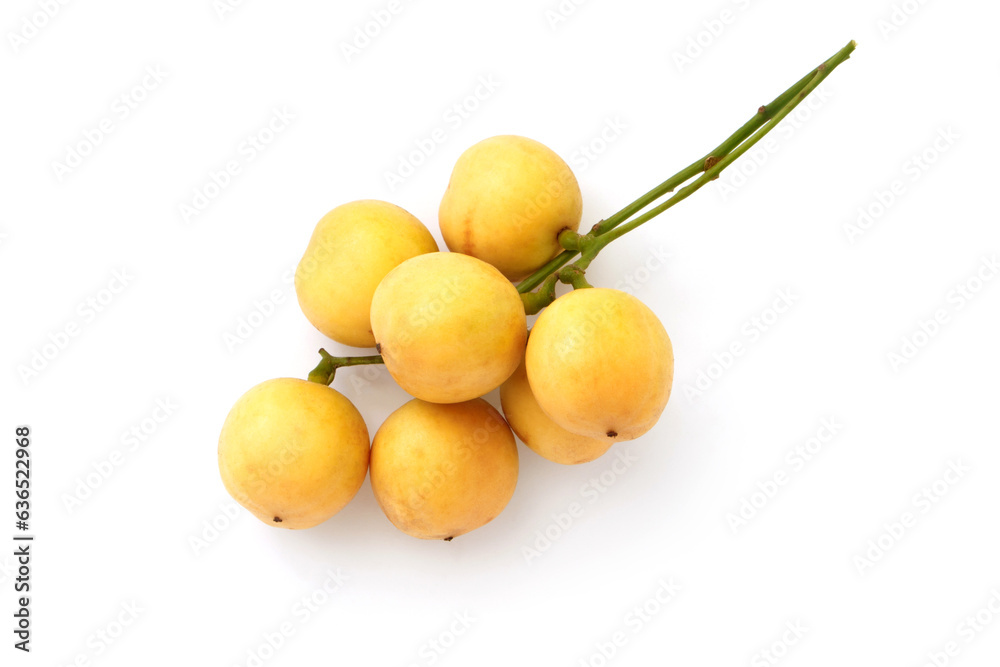 Bunch of burmese grape(Baccaurea ramiflora) isolated on white background , top view , flat lay.