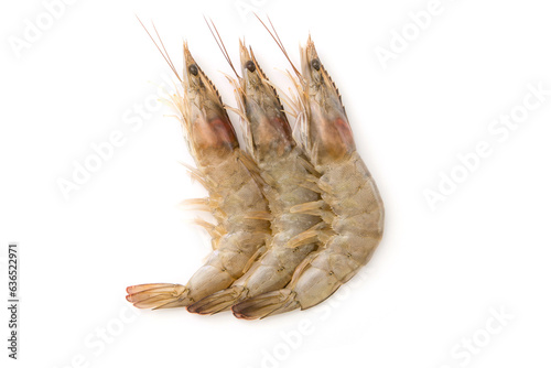 Group fresh shrimp isolated on white background ,top view ,flat lay.