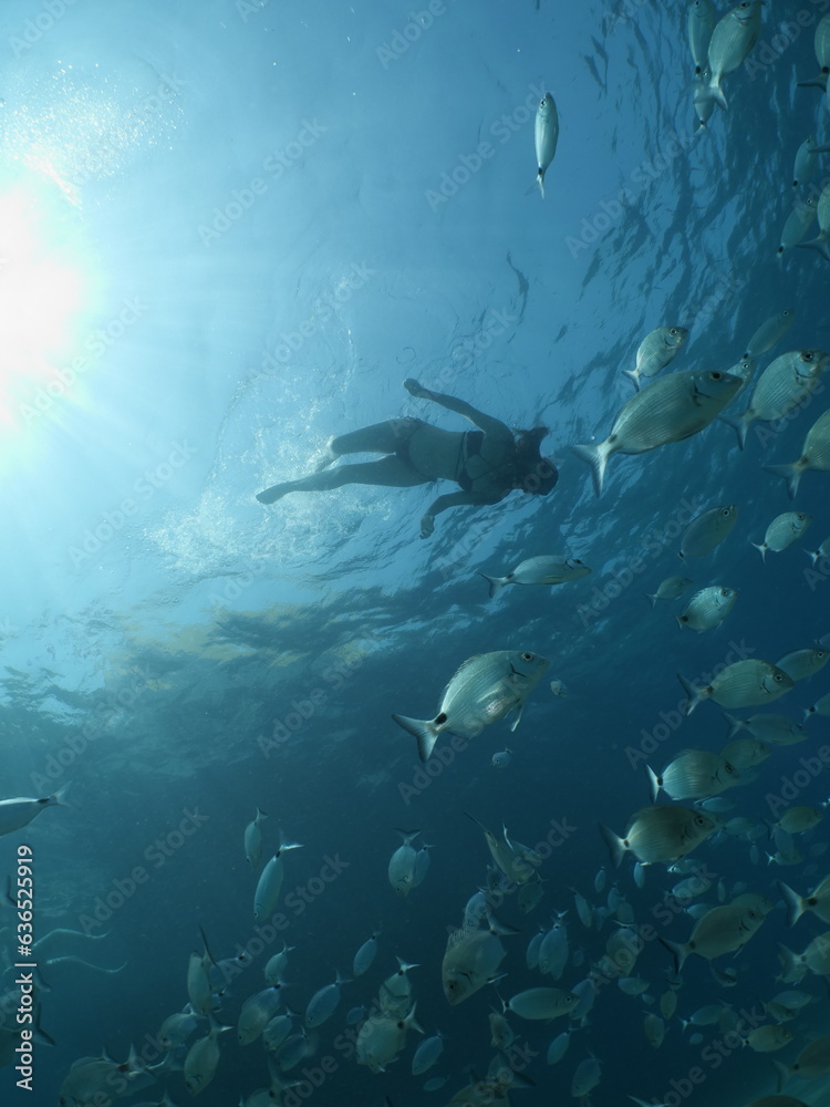 Obraz premium lady swims underwater with bikini sun beams and rays