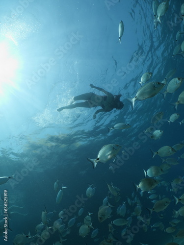 Fototapeta Naklejka Na Ścianę i Meble -  lady swims underwater with bikini sun beams and rays