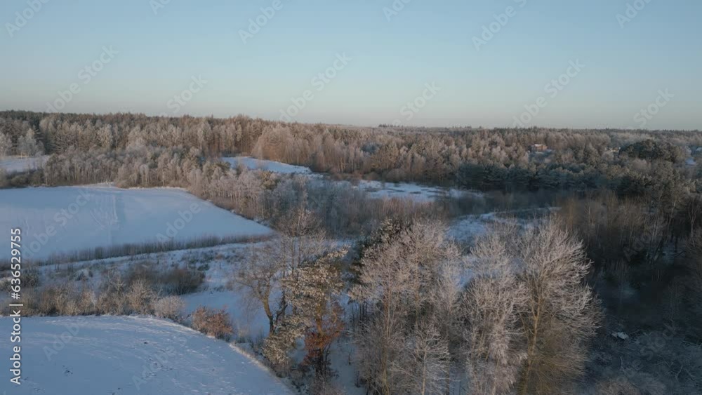 Snow covered fields and forest from an aerial view Snow covered fields and forest from an aerial view