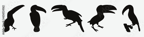 Exquisite Collection of Majestic Hornbill Silhouettes, A Comprehensive Set for Your Artistic Projects © Metavector 