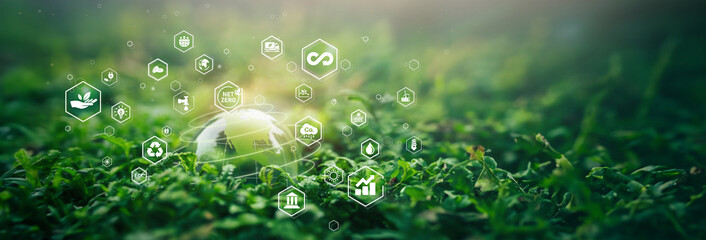 Environment. Crystal ball on moss in green forest. there is a symbolic icon Inclusive Environment, Ecology, Earth Day, Forest Conservation, CSR, ESG, NET ZERO