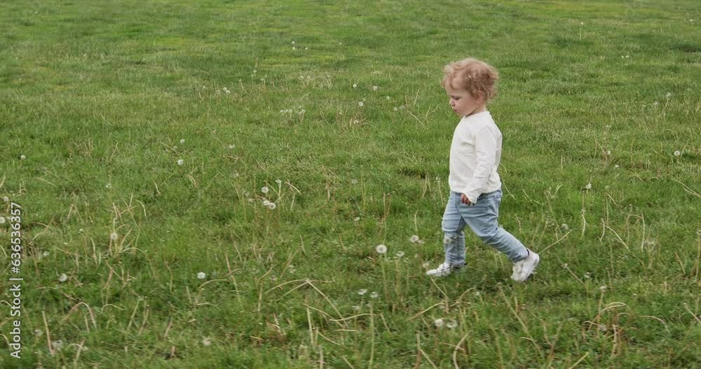 Toddler boy with calm expression walks towards young mother on dandelion meadow in city park. Blonde woman picks up and hugs toddler boy Toddler boy with calm expression walks towards young mother on dandelion meadow in city park. Blonde woman picks up and hugs toddler boy