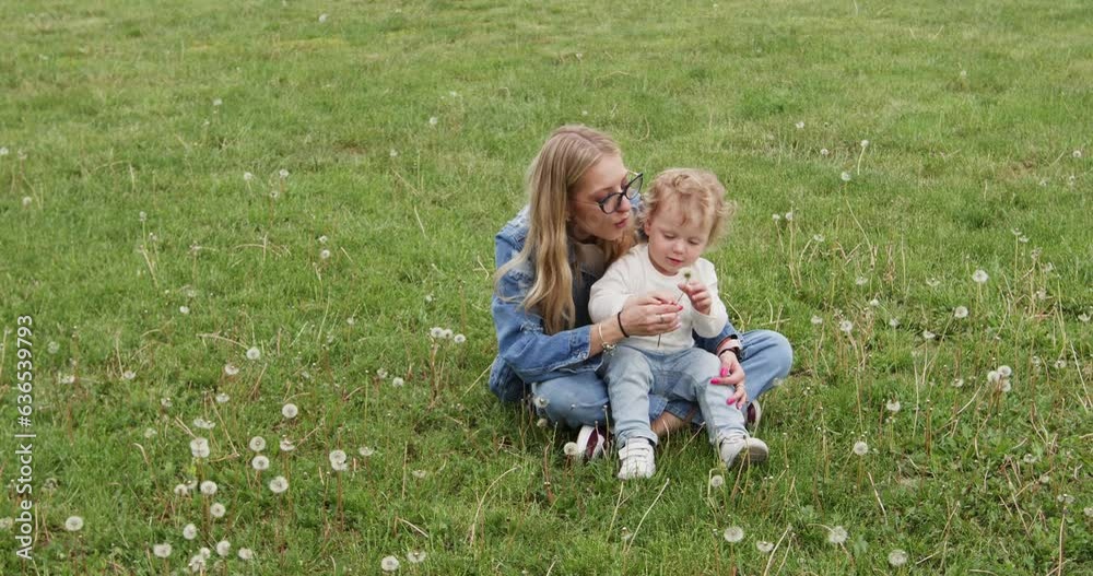 Blonde mother and toddler son sitting in green flower meadow in city park. Boy tries to prevent mom blown dandelion from park meadow Blonde mother and toddler son sitting in green flower meadow in city park. Boy tries to prevent mom blown dandelion from park meadow