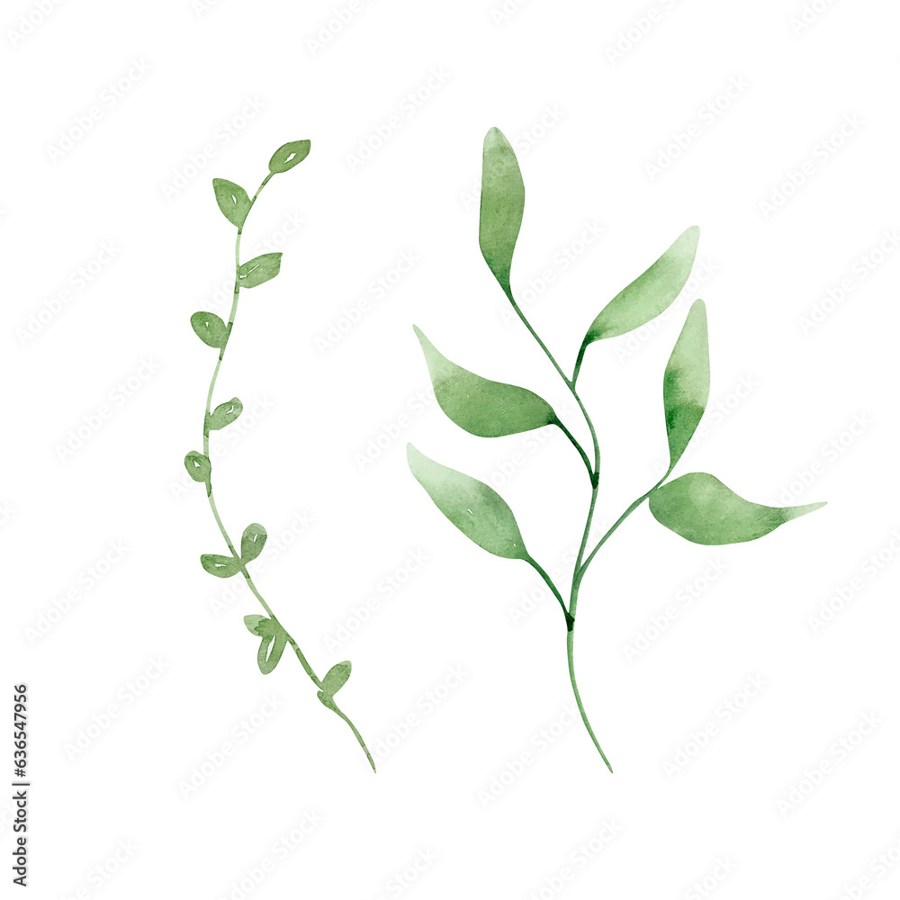 Watercolor set tender branch with leaves Watercolor set tender branch with leaves