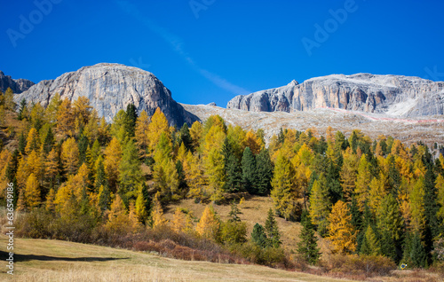 autumn on the Campolongo Pass between Veneto and Trentino Alto Adige