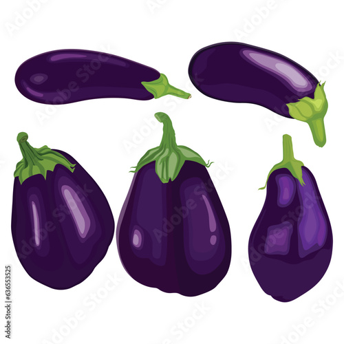 Vector illustration of set eggplants vegetable in cartoon flat style. Bright purple violet of Aubergine Solanum melongena healthy food nutritious isolated in white background. Edible nature for diet