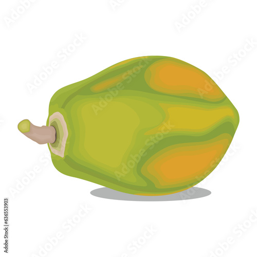 Vector illustration of whole papaya in cartoon flat style. Exotic ripe tropical fruit Carica papaya, healthy for diet on a white background. Elements for graphic, logo, icon, menu, etc.