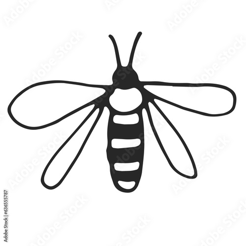 Wasp, simple line drawing, black outline. Hand drawn, vector, on white background isolated. View from above.