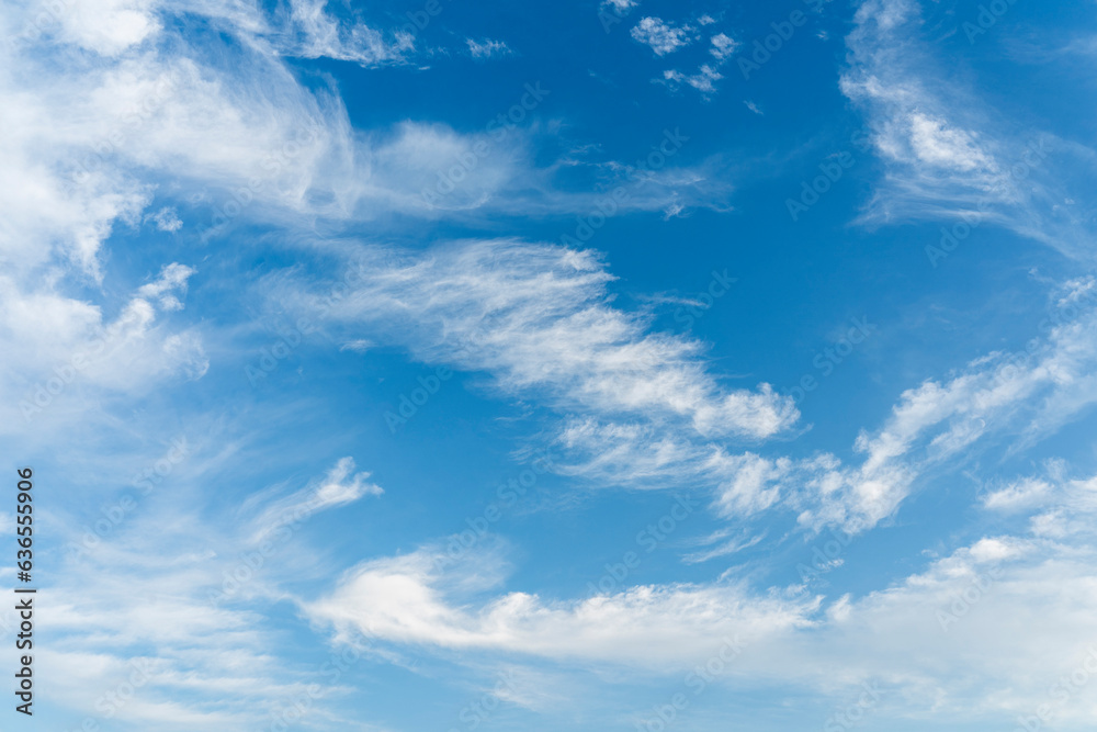 Fototapeta premium 青空と雲