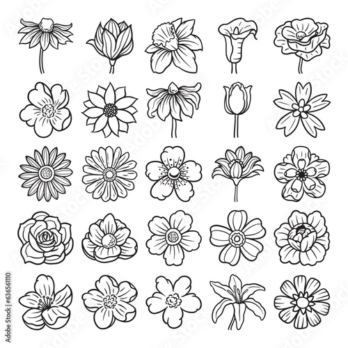 Flower hand drawn vector set