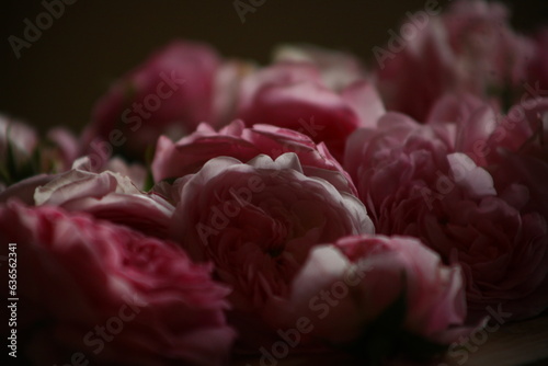 Canvastavla roses odorantes avant transformation