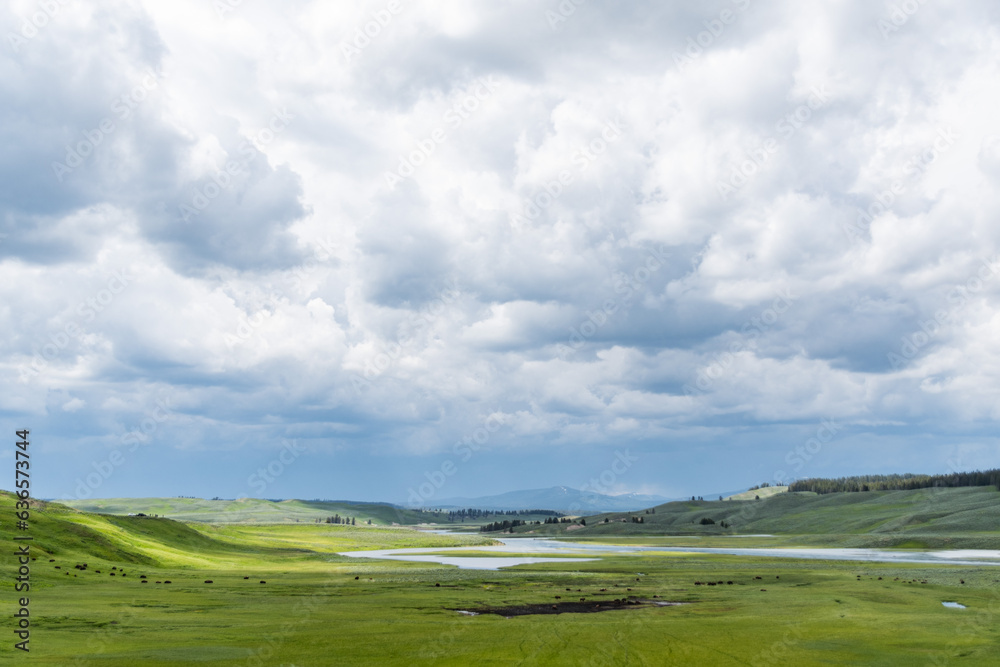 Prairie Views of Yellowstone National Park in Summer Prairie Views of Yellowstone National Park in Summer