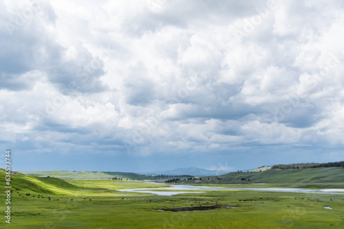Prairie Views of Yellowstone National Park in Summer 