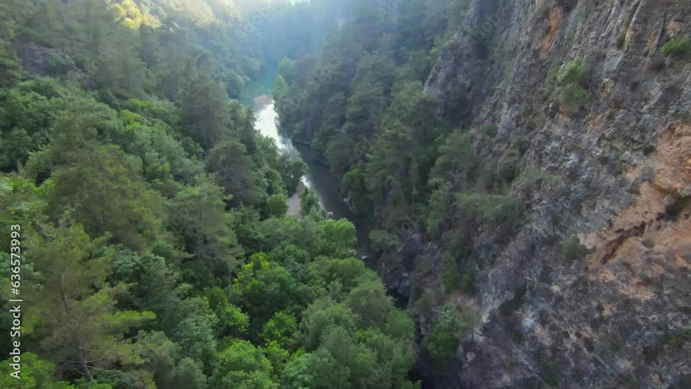Stunning vegetation on mountainside of Abraham Riverbank. Aerial descending