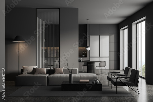 Grey home studio interior with relax and cooking zone, panoramic window