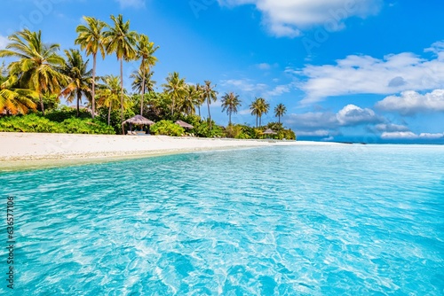 Beautiful tropical beach banner. White sandy coast coconut palm trees travel tourism wide panoramic island. Amazing beach landscape. Exotic nature  sunny tranquil peaceful inspire seascape blue sky