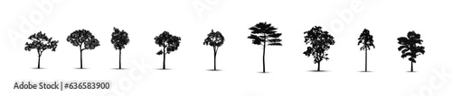 Set of tree silhouettes  vector silhouette of tree