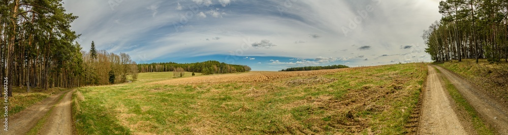 panorama of countryside with forest, path, field