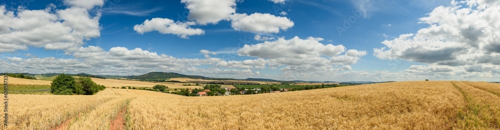panorama view of country side with grain fields