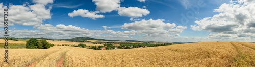 panorama view of country side with grain fields