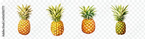 Pineapple watercolor isolated graphic transparent